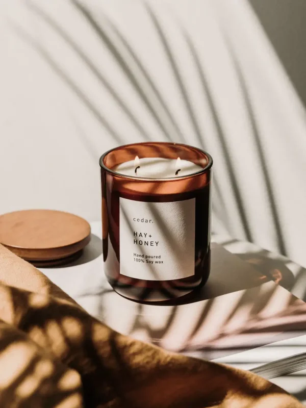 48d0c0ce75139eec1c78cc299149ed2d